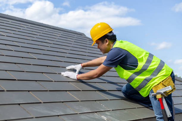 Best Local Roofing Companies  in Terry, MS