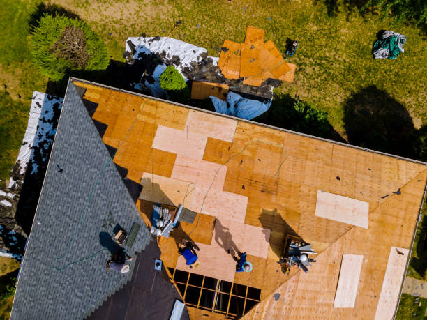 Best Roof Installation Near Me  in Terry, MS