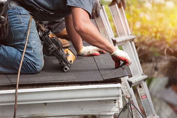 Best Roof Restoration Services  in Terry, MS